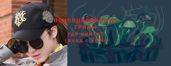 гидра Кодинск