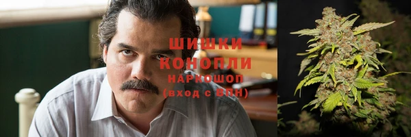 гидра Кодинск