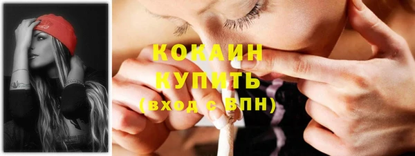 гидра Кодинск