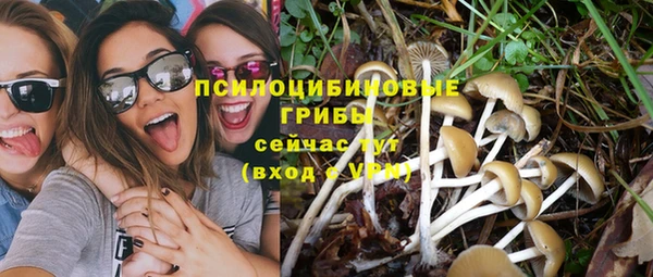 а пвп мука Кинешма