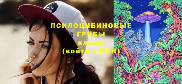 а пвп мука Кинешма