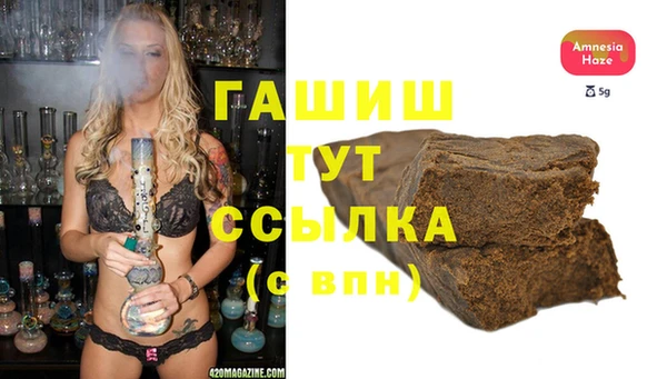 гидра Кодинск